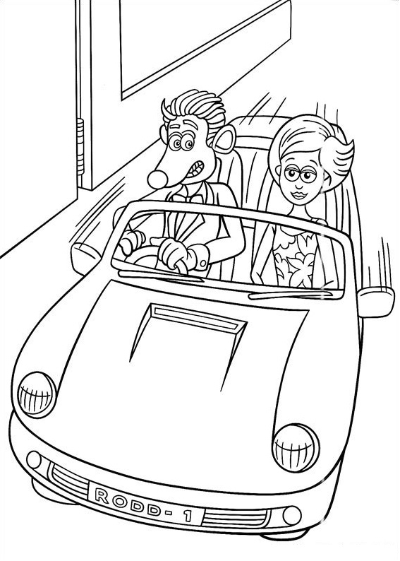 Roddy Driving Car