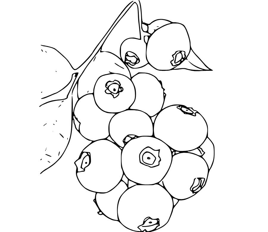 Ağaçtaki Yaban Mersini Boyama Sayfası