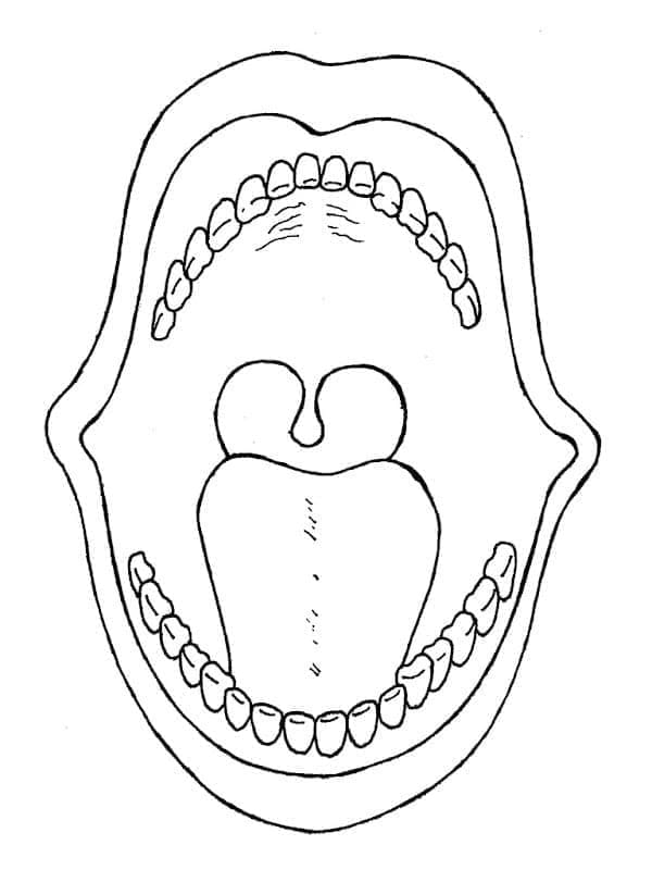 Ağız Ücretsiz Boyama Sayfası