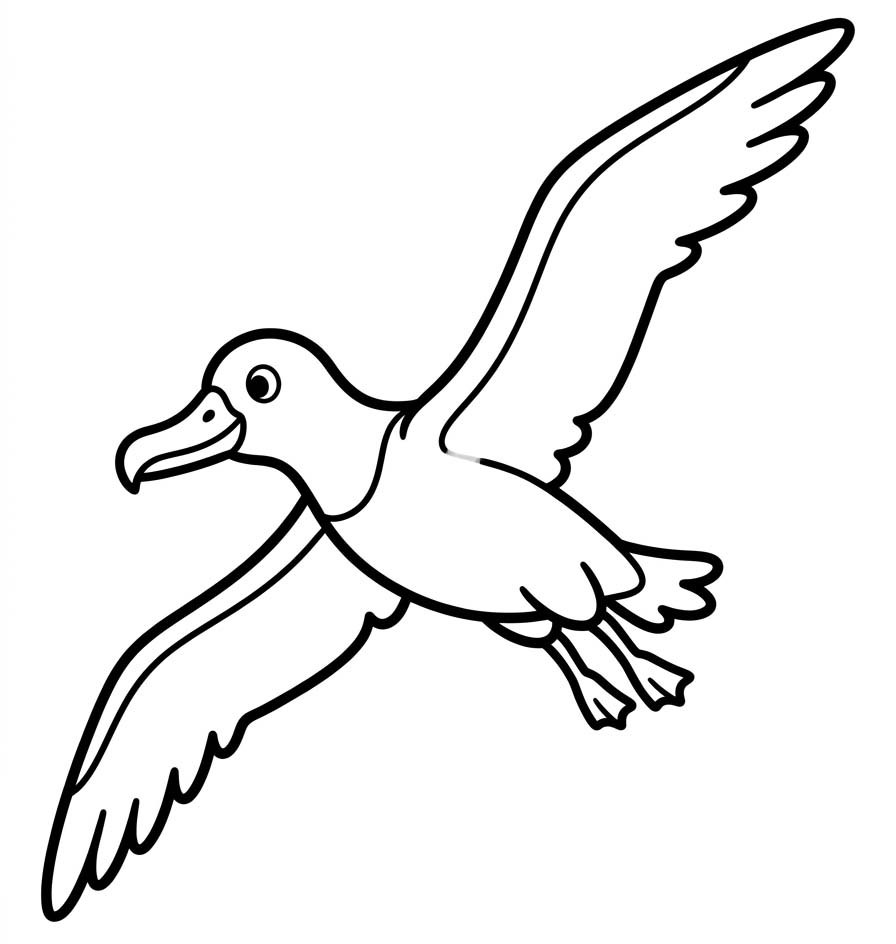 Albatros ücretsiz Boyama Sayfası