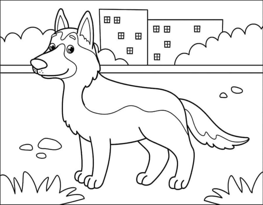 Alman Çoban Köpeği resim Boyama Sayfası