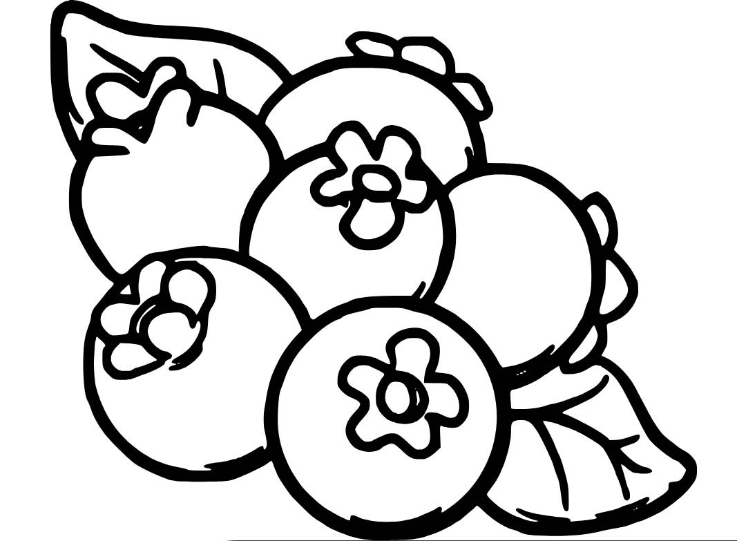 Altı Yaban Mersini Boyama Sayfası