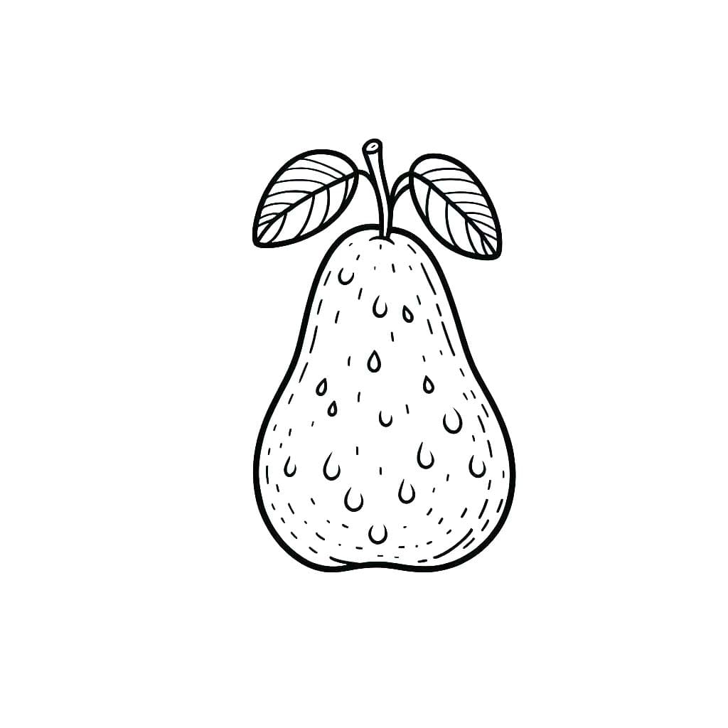 Armut temel çizimi Boyama Sayfası