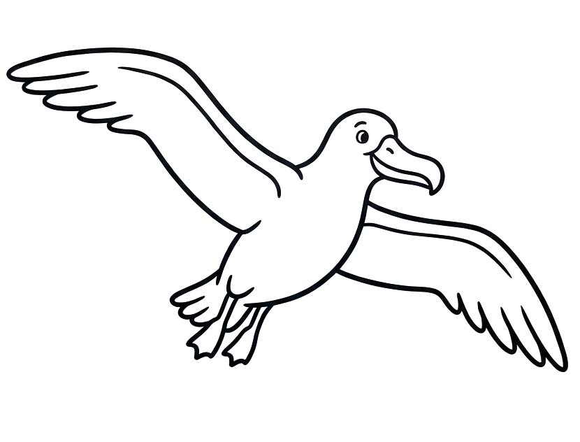 Basit Albatros Boyama Sayfası