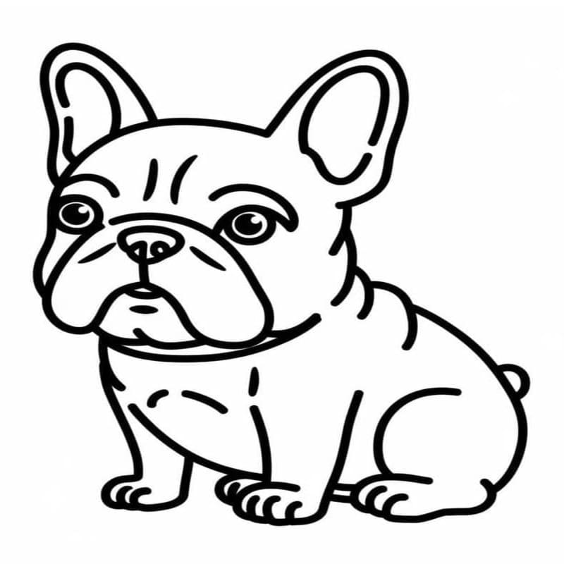Basit Fransız Bulldog Boyama Sayfası