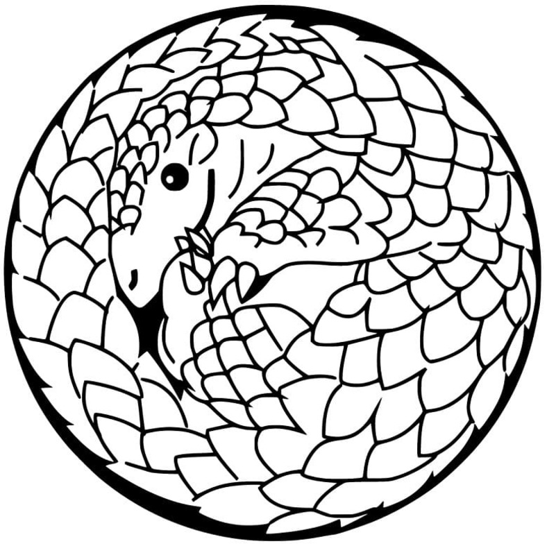 Basit Pangolin Boyama Sayfası