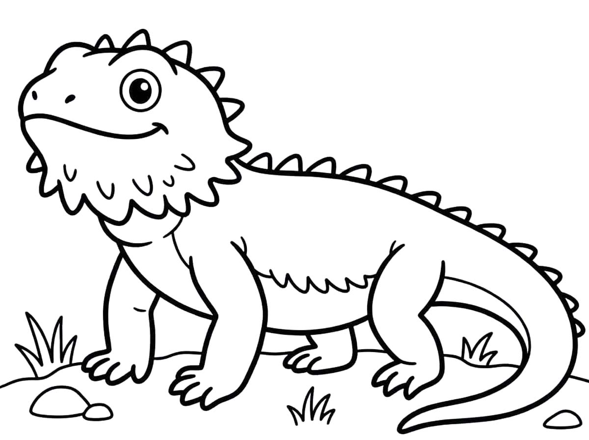 Basit Sakallı Ejderha resim Boyama Sayfası