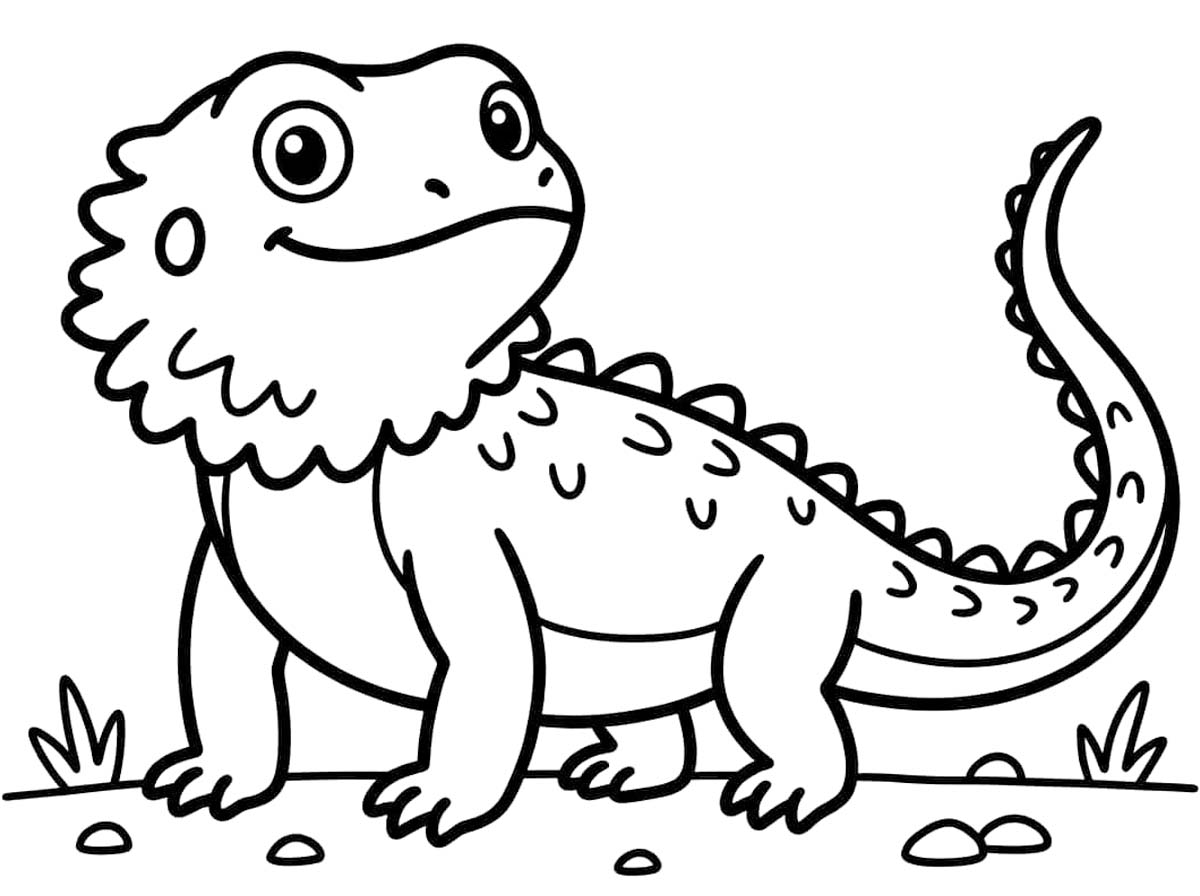 Basit Sakallı Ejderha Boyama Sayfası