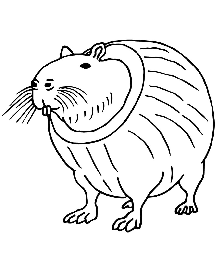 Brainrot Burbaloni Lulilolli Çizmek Boyama Sayfası