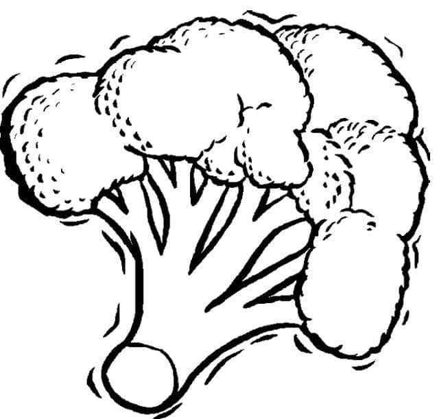 Brokoli baskısını çiz Boyama Sayfası