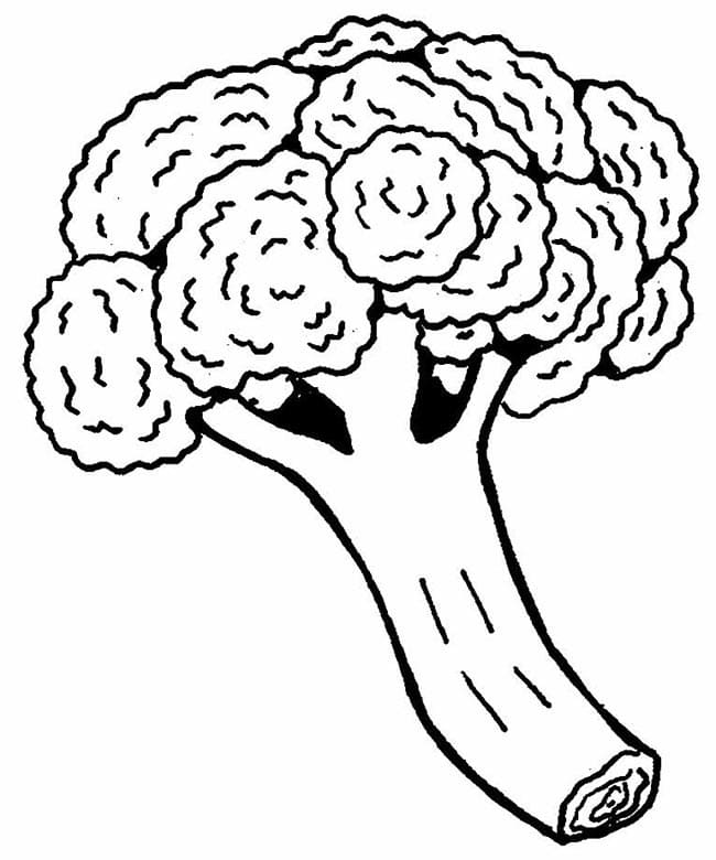 Brokoli ücretsiz Boyama Sayfası