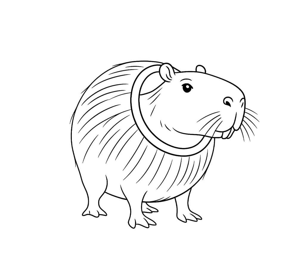 Burbaloni Lulilolli Brainrot Çizmek Boyama Sayfası