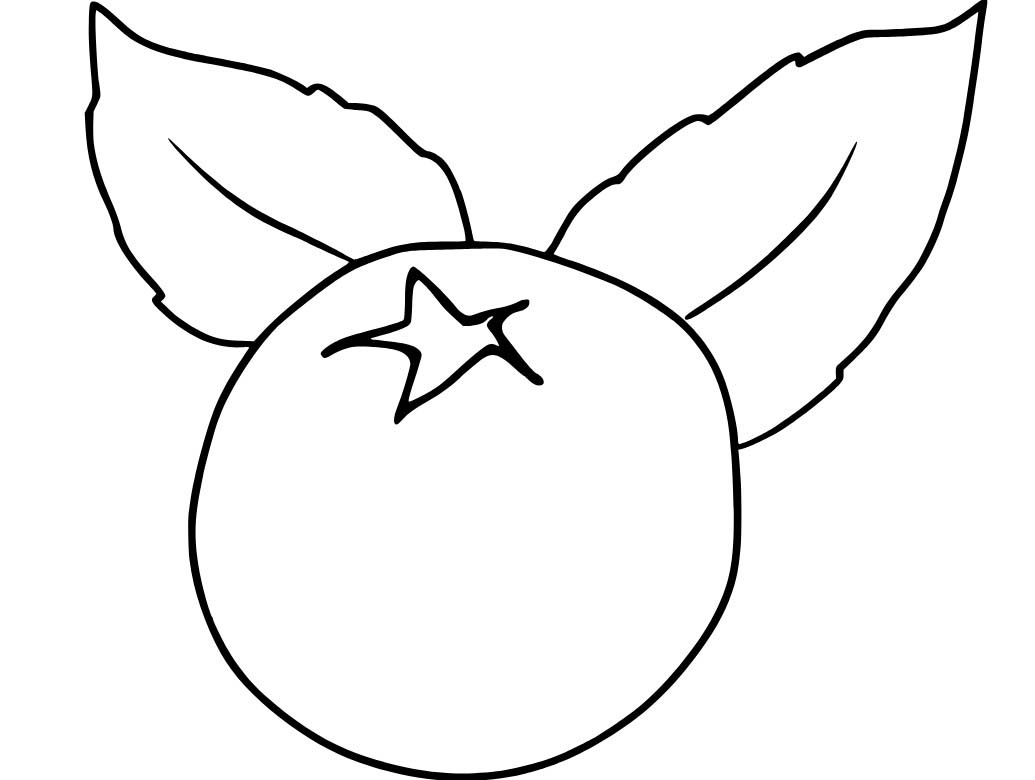 Büyük Yaban Mersini Boyama Sayfası