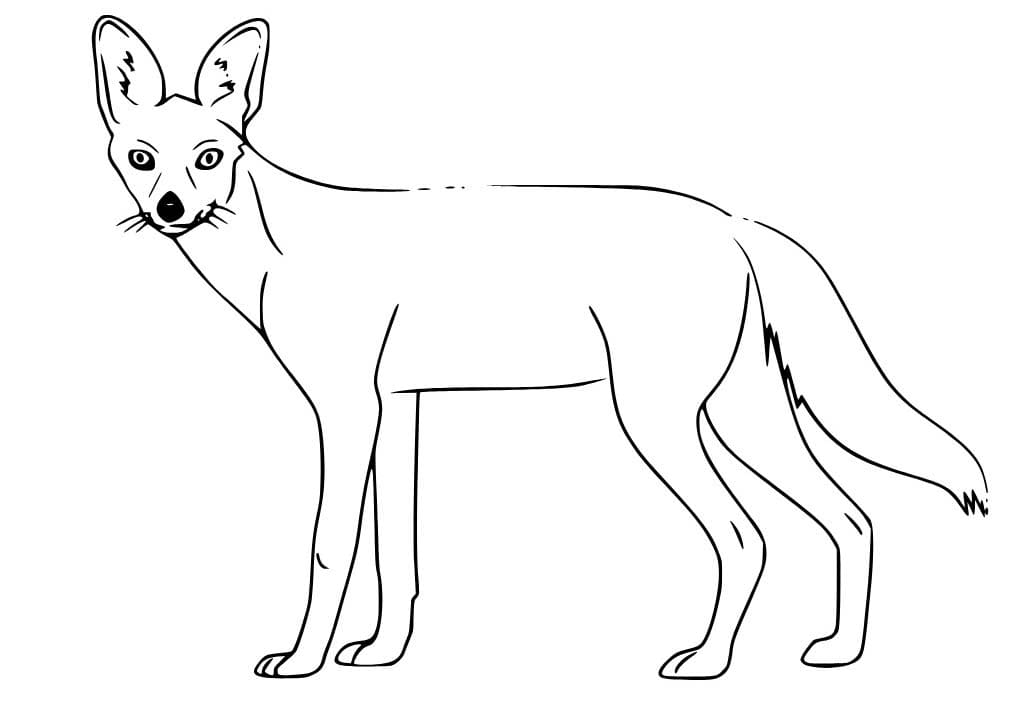Çakal çocuklar için kolay Boyama Sayfası