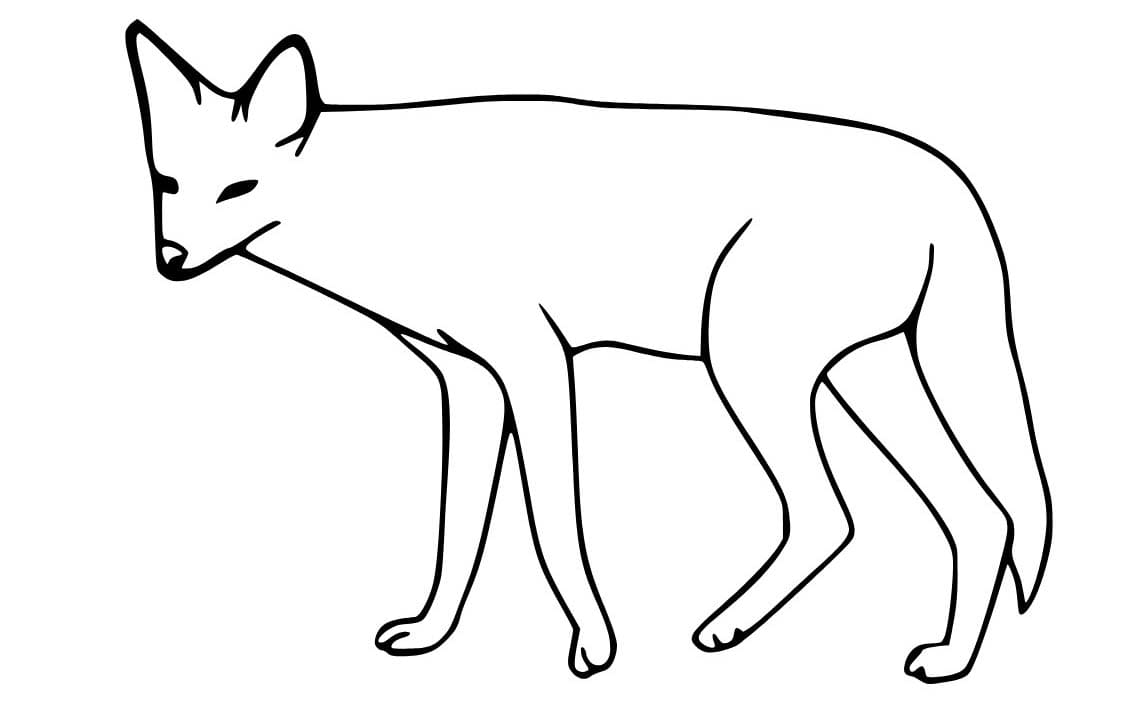 Çakal çocuklar için yazdırılabilir Boyama Sayfası