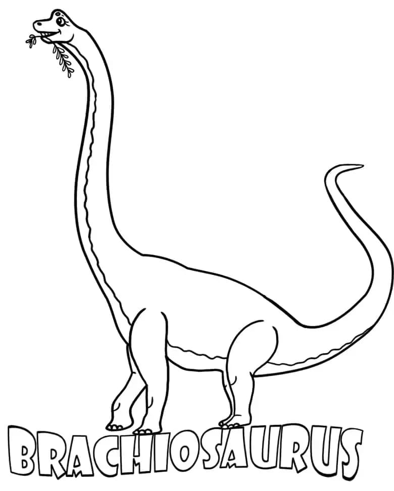 Çizmek Brachiosaurus Temel Boyama Sayfası