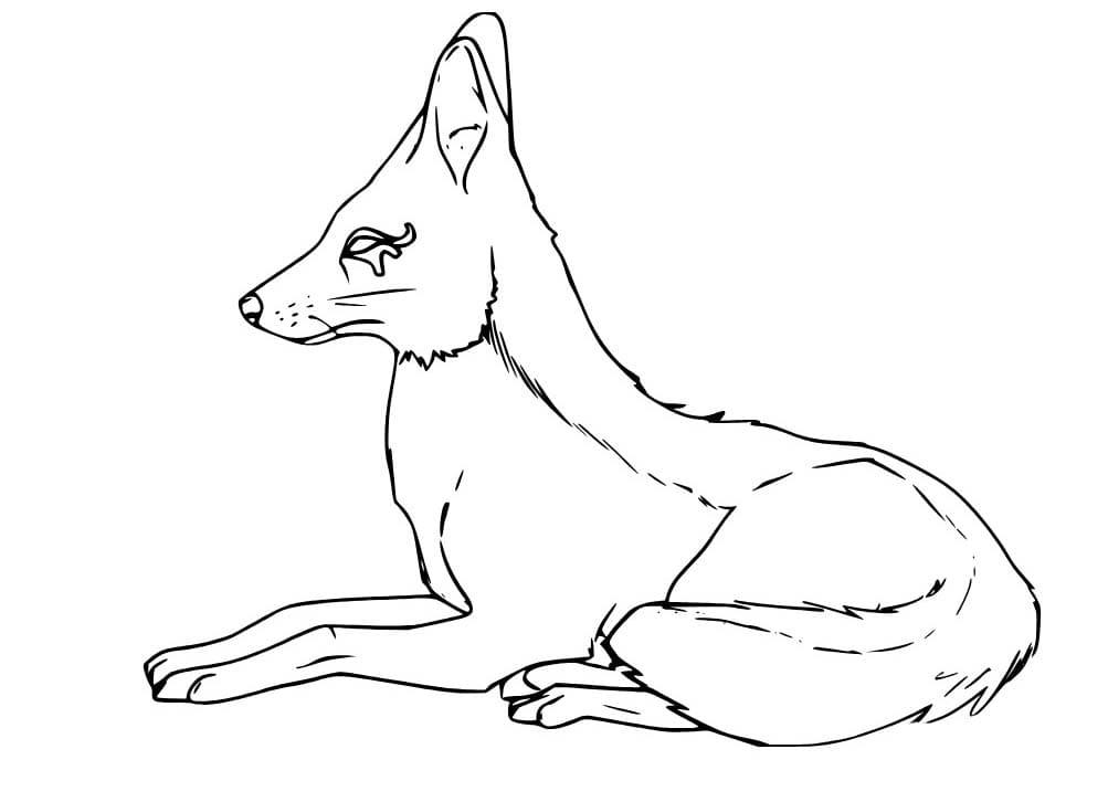 Çizmek Çakal basit Boyama Sayfası