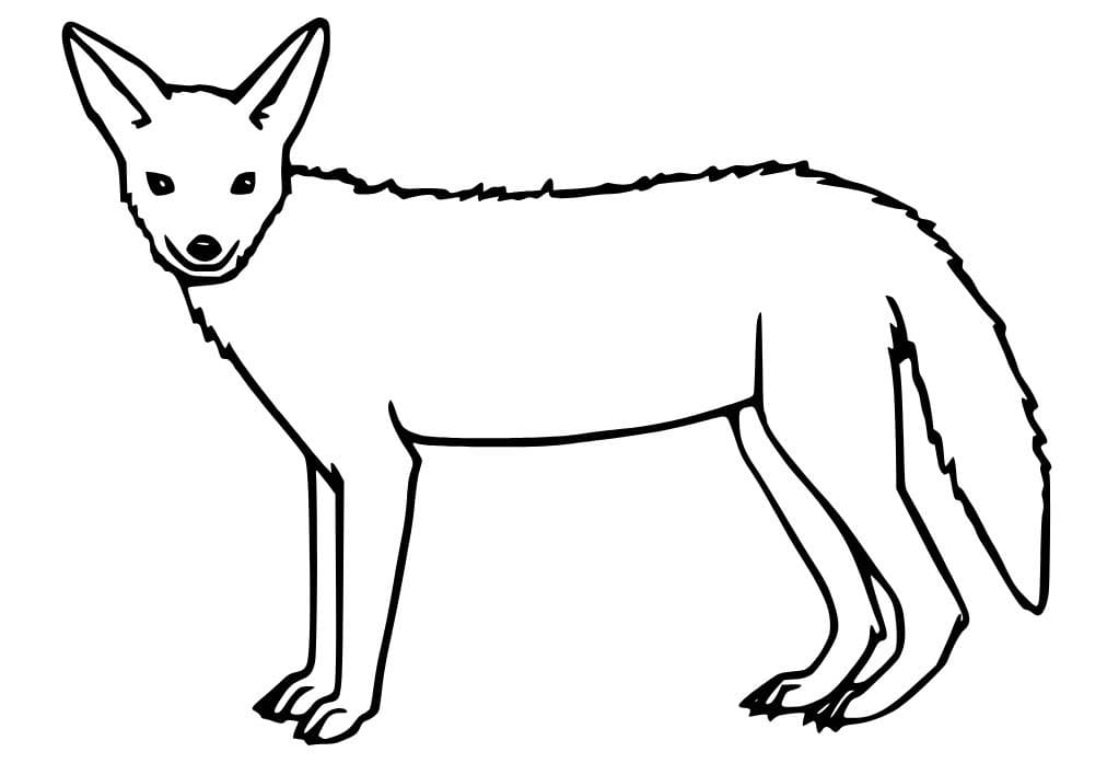 Çizmek Çakal çocuklar için basit Boyama Sayfası