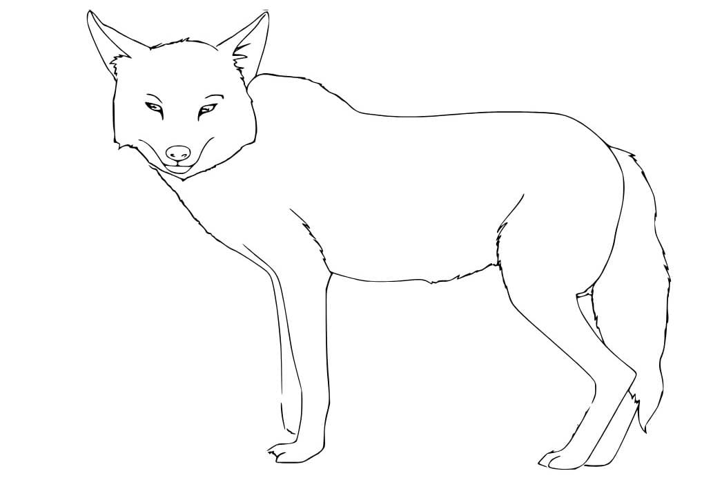 Çizmek Çakal çocuklar için temel Boyama Sayfası