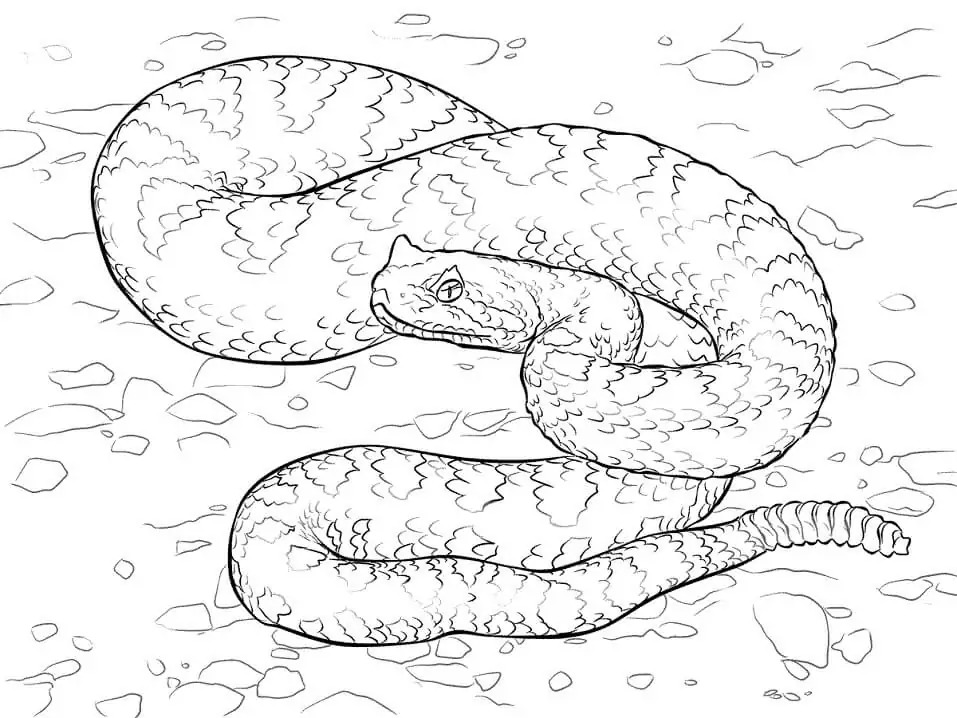 Çizmek Çöl çocuklar için yazdırılabilir Boyama Sayfası