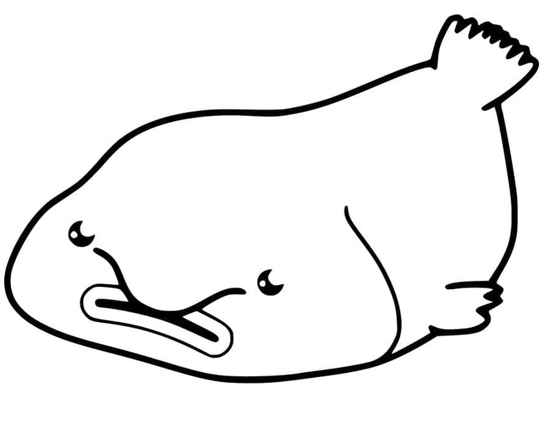 Çizmek Damla Balığı çocuklar için kolay Boyama Sayfası