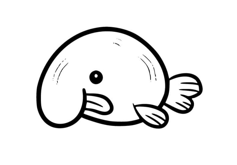 Çizmek Damla Balığı yazdırılabilir Boyama Sayfası