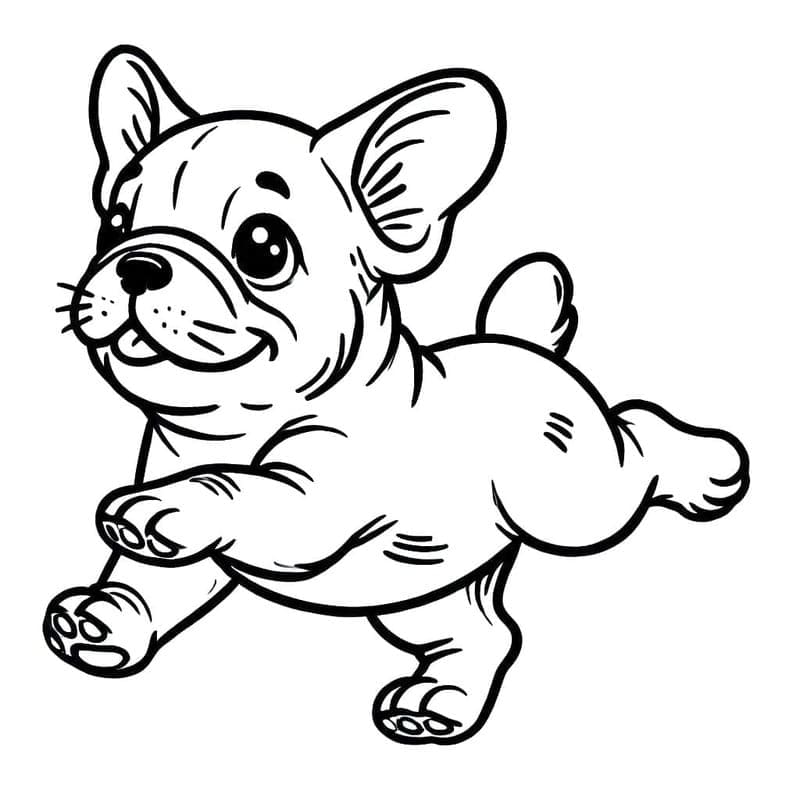 Çizmek Fransız Bulldog Temel Boyama Sayfası