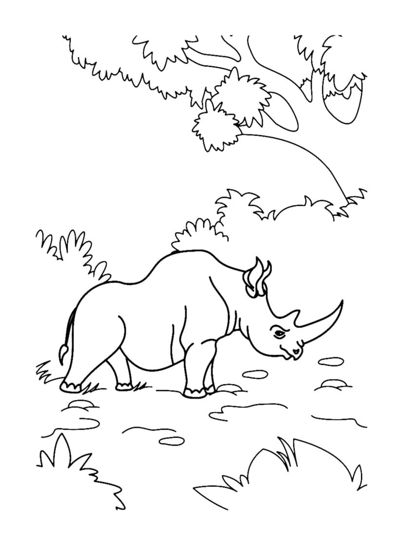 Çizmek Gergedan çocuklar için ücretsiz Boyama Sayfası