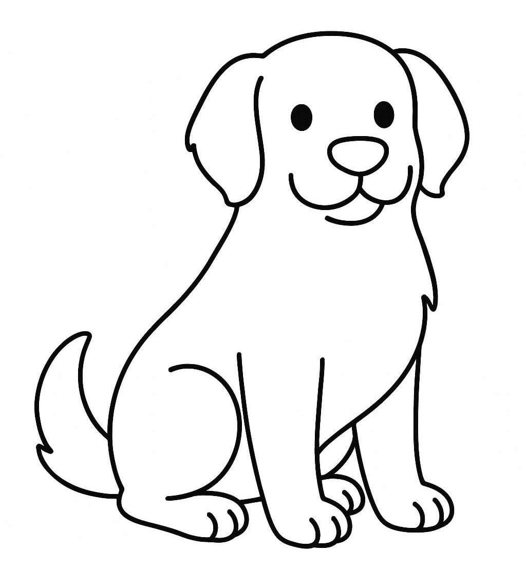 Çizmek Golden Retriever Temel Boyama Sayfası