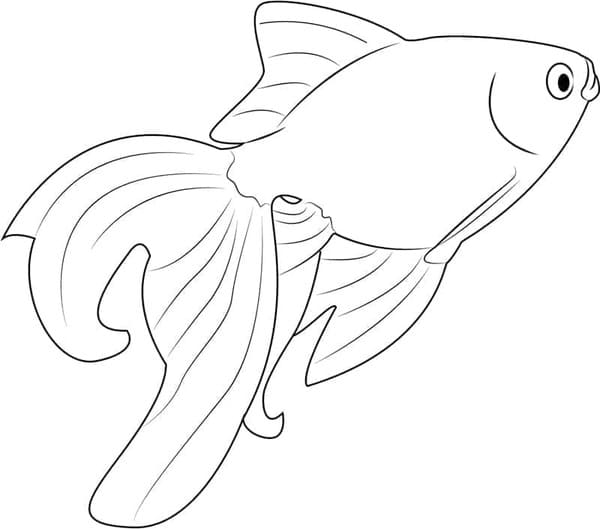 Çizmek Japon Balığı Boyama Sayfası