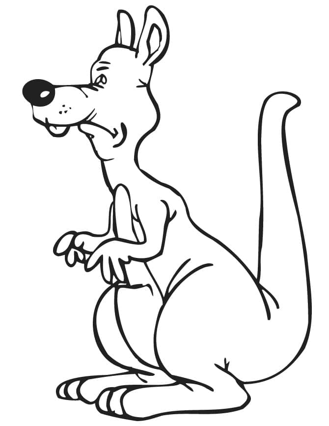 Çizmek Kanguru 2 Boyama Sayfası