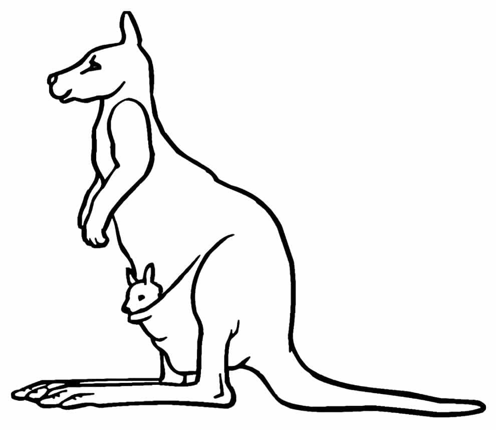 Çizmek Kanguru ücretsiz yazdırılabilir Boyama Sayfası