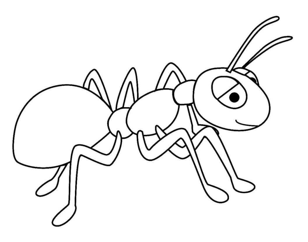 Çizmek Karınca yazdırılabilir Boyama Sayfası