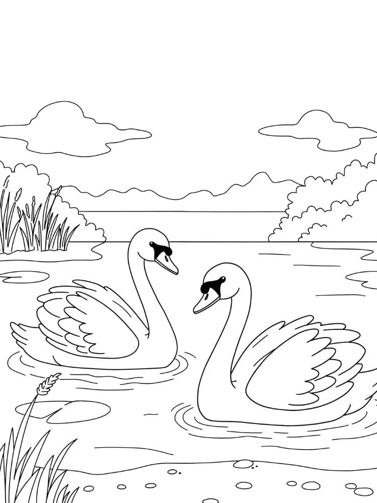 Çizmek Kuğu 5 Boyama Sayfası