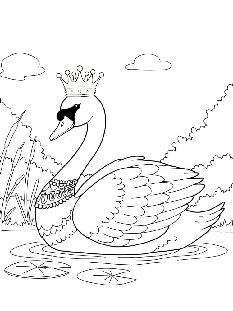 Çizmek Kuğu 6 Boyama Sayfası