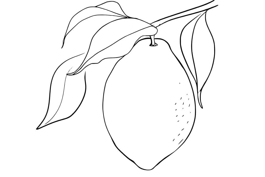 Çizmek Limon ücretsiz yazdırılabilir Boyama Sayfası