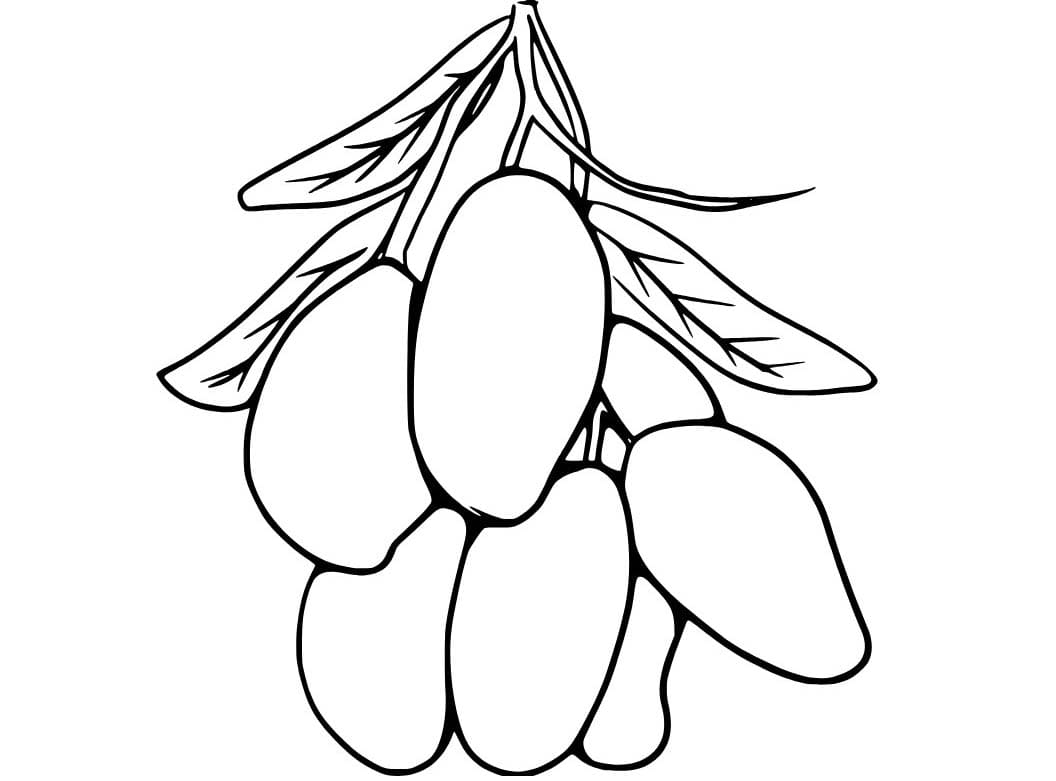 Çizmek Mango çocuklar için yazdırılabilir Boyama Sayfası