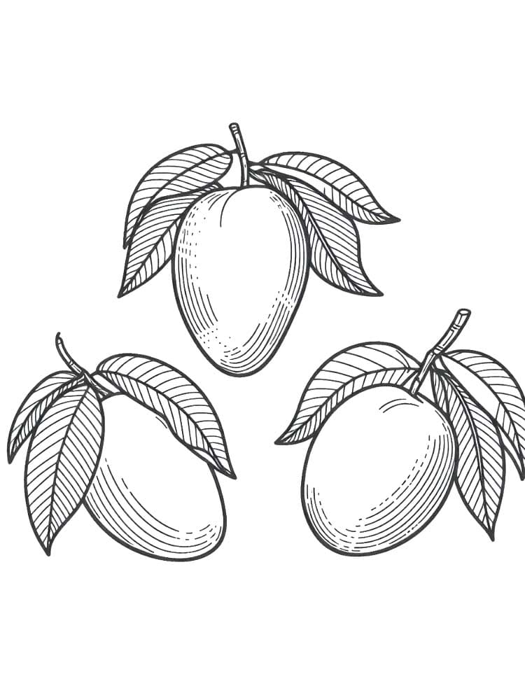 Çizmek Mango çocuklar için Boyama Sayfası