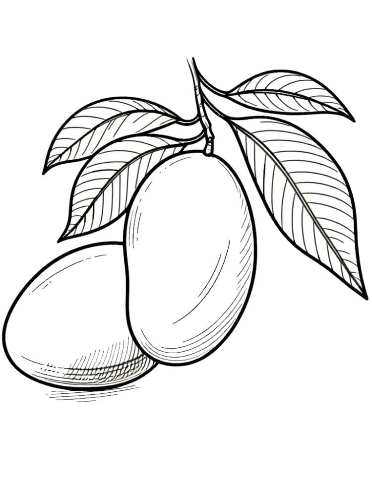 Çizmek Mango temel Boyama Sayfası