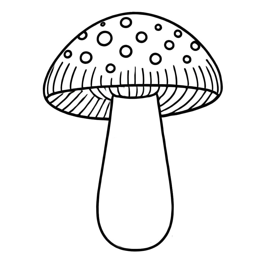 Çizmek Mantar 3 Boyama Sayfası