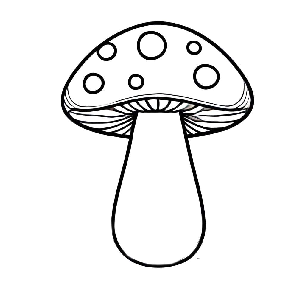 Çizmek Mantar yazdırılabilir