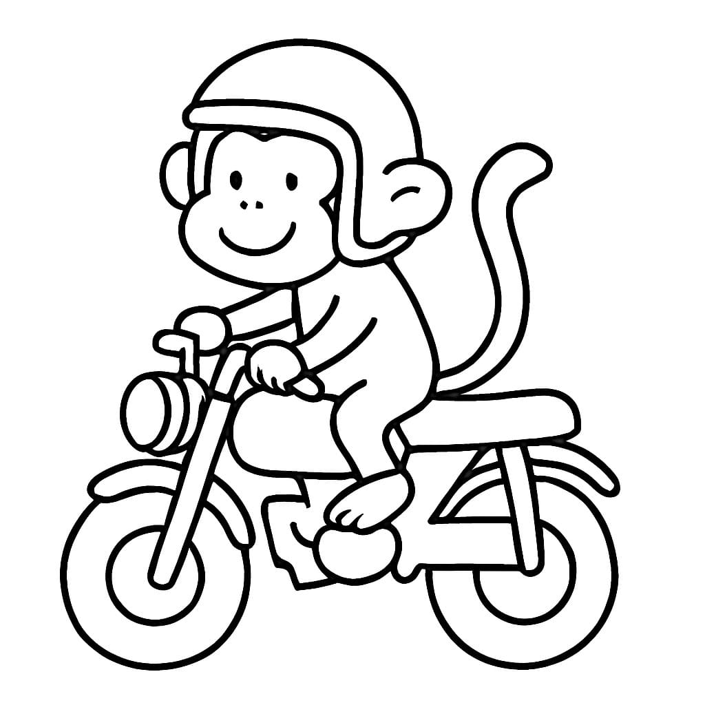 Çizmek Maymun Çocuklar için ücretsiz Boyama Sayfası