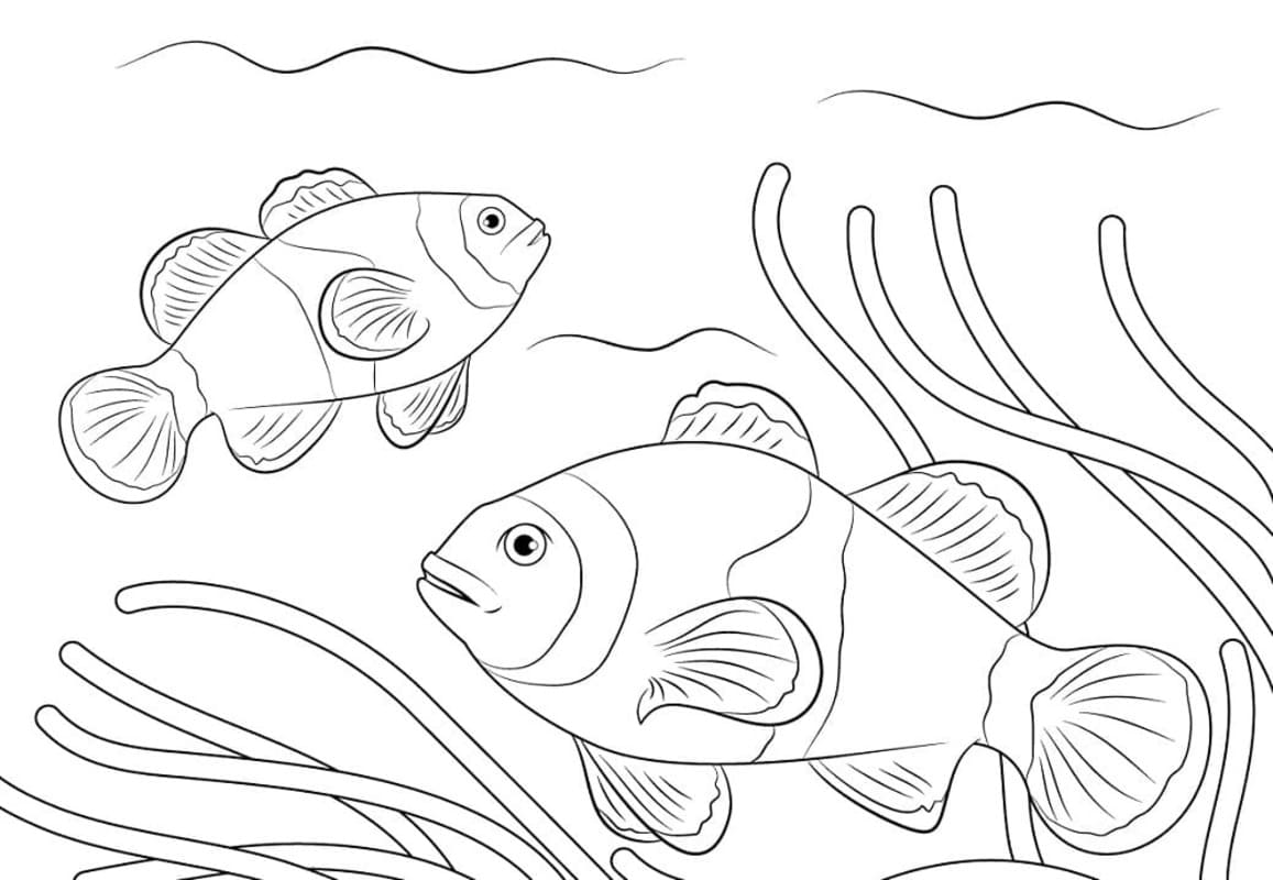 Çizmek Palyaço balığı ücretsiz temel Boyama Sayfası