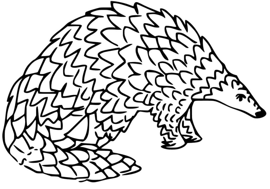 Çizmek Pangolin temel Boyama Sayfası