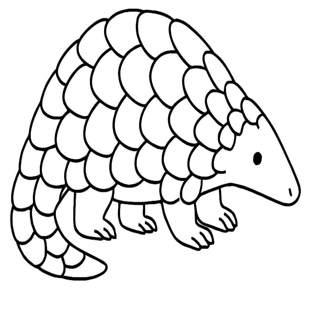 Çizmek Pangolin ücretsiz Boyama Sayfası