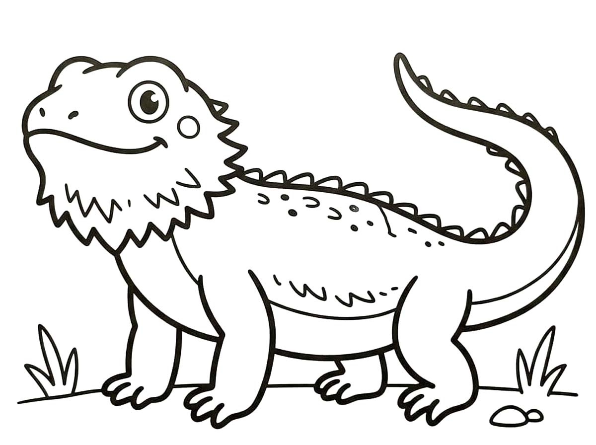 Çizmek Sakallı Ejderha Temel Boyama Sayfası