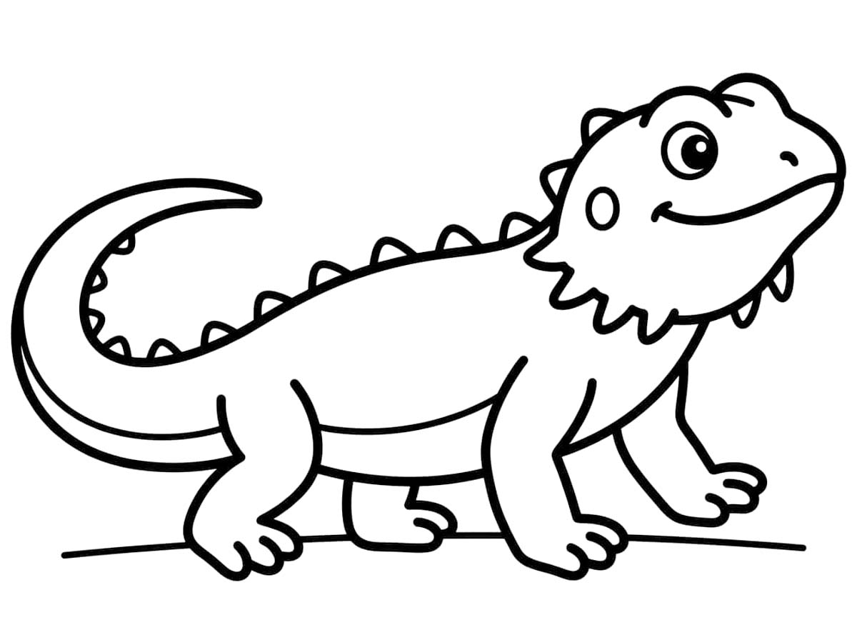 Çizmek Sakallı Ejderha ücretsiz yazdırılabilir Boyama Sayfası