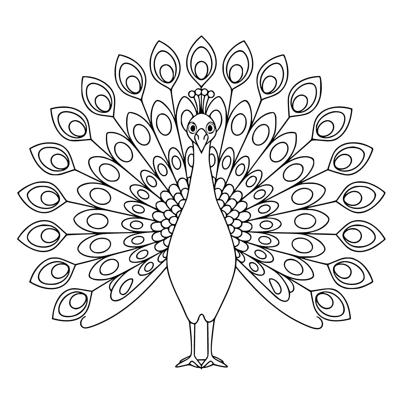 Çizmek Tavus Kuşu kuyruk gösterisi Boyama Sayfası