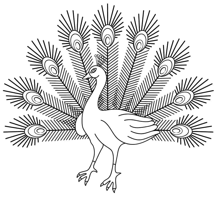 Çizmek Tavus Kuşu ücretsiz Boyama Sayfası
