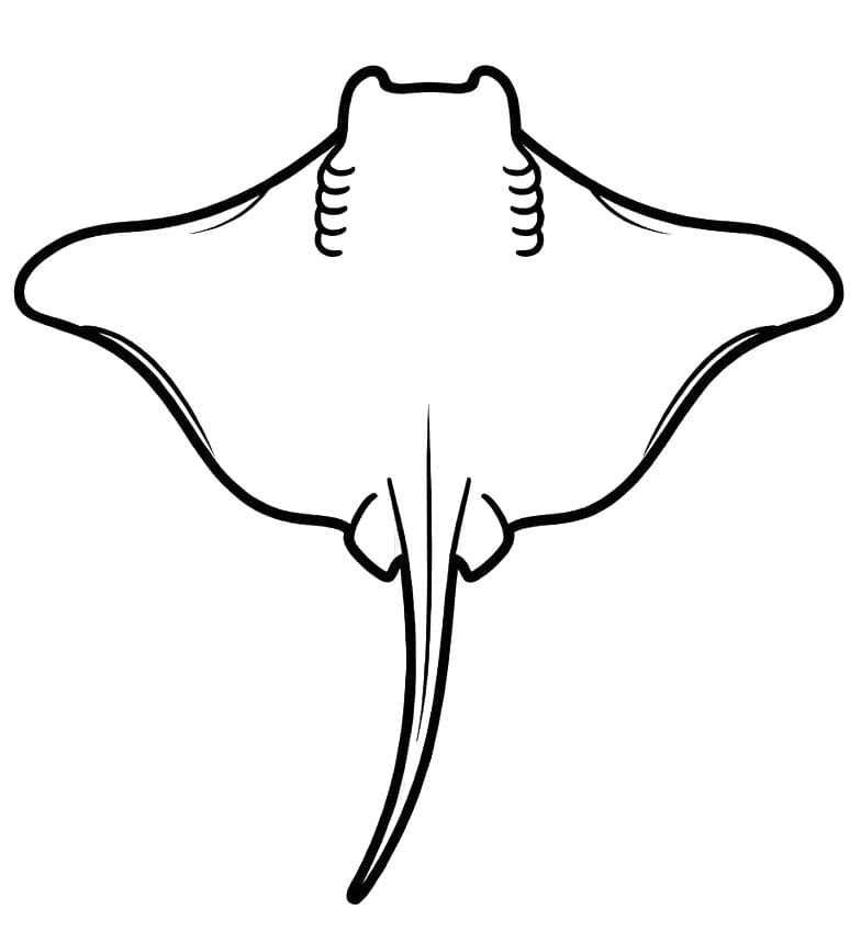 Çizmek Vatoz çocuklar için Boyama Sayfası